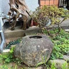 つくばい/手水鉢と踏み石/下駄脱ぎ：7/8(火)まで
