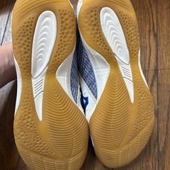 フットサルシューズの画像
