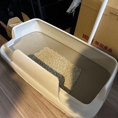 ペット猫のトイレの画像