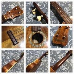 貴重 Maui music マウイミュージック ソプラノウクレレ デラックスモデルの画像