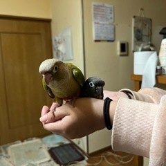 エキゾチックアニマルブリーダーさん友達になってください🙇‍♀️ - 友達