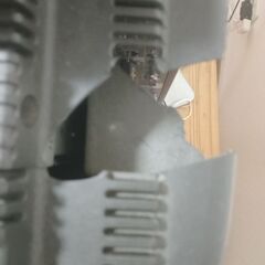 テレビの画像
