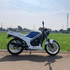 VTZ250 CBR仕様の画像