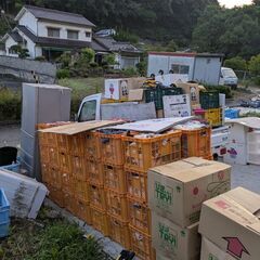 おはようマリンカンパニーです