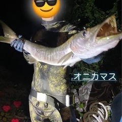 大型魚用チョッキワイヤー 
の画像
