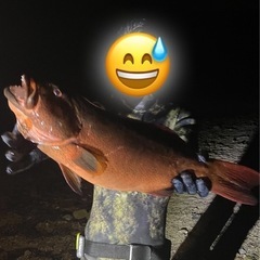 大型魚用チョッキワイヤー 
の画像