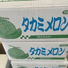 タカミメロン3L🍈1玉❗️の画像