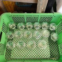 セール準備終わりましたー！の画像