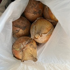 玉ねぎ5個