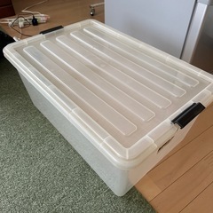 （決まりました）本日限定　収納ケースの画像