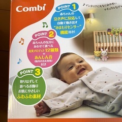メリーの画像