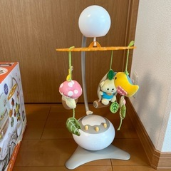メリーの画像