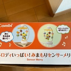 メリーの画像