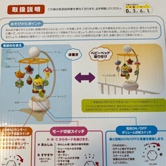 メリーの画像