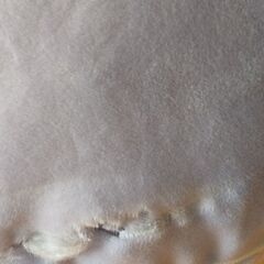 ラプンツェル クッションの画像