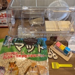ハムスター　飼育セットの画像