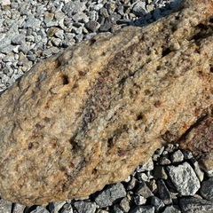 南極大陸石🪨10.2kgの画像