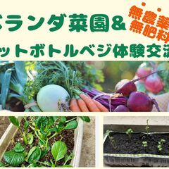 【ベランダ菜園とペットボトルベジの体験交流会】 ベランダで…