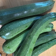 採れたて！ズッキーニ　　3本 100円