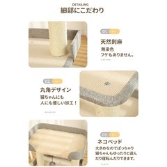 キャットタワーの画像