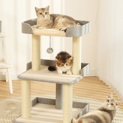 キャットタワーの画像
