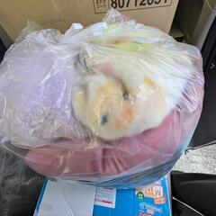 女児の服 95〜120の画像