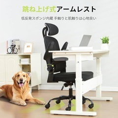 新品未使用　オフィスチェア 椅子 デスクチェア 人間工学 ブラック 黒 チェア ワークチェアの画像