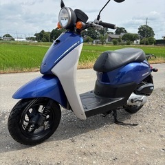 HONDA AF67 TODAY トゥデイ　実動車　埼玉県の画像