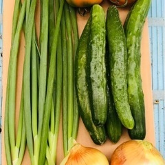 野菜セット🍅　増量可