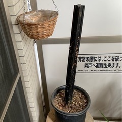 【無料】ガーデニンググッズまとめて