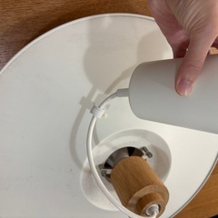 LED電球付き　ウニコ　　照明の画像