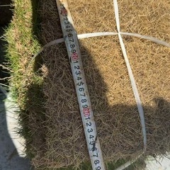 　芝　庭芝　草　　　の画像