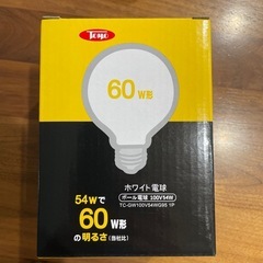 【新品未使用】白熱球
の画像