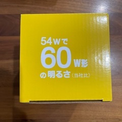 【新品未使用】白熱球
