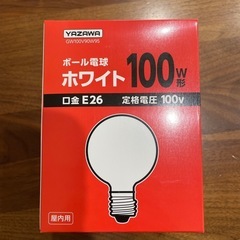 【新品未使用】白熱球
の画像