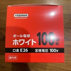 【新品未使用】白熱球
