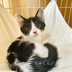 仲良し3きょうだい