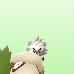 今日一緒にポケ活しませんか？！