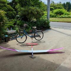 ラジコングライダー、メカ付