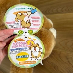 電波時計機能付き　しゃべる犬の画像