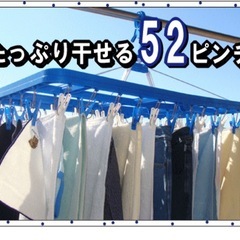 洗濯干し　ピンチハンガー　2個の画像