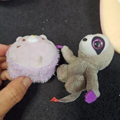 ネコ、すみっコぐらし、tyのぬいぐるみと帽子セットの画像