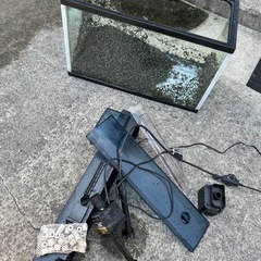 水槽の画像