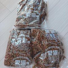 ねこ元気子猫用の画像