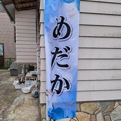 2025/06/28 みじんこ 水草