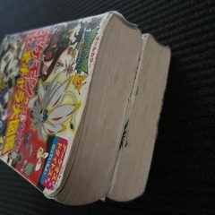 ポケモン　全キャラ大図鑑　上下の画像