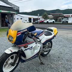 nsr50　純正　ロスマンズの画像