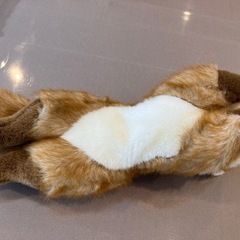 美品✨キタキツネぬいぐるみの画像