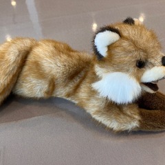 美品✨キタキツネぬいぐるみの画像