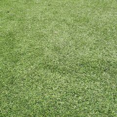 人工芝 200cm×260cmを2セットの画像